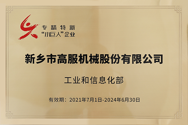 2020年，入選“國家級專精特新小巨人”企業